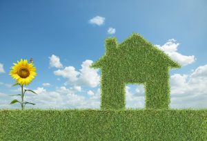 energy-efficiency-green-home